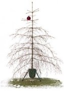 christmas-tree-dry-211x300